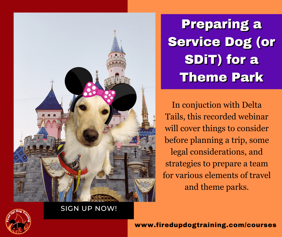 Preparing for a Theme Park with a Service Dog
